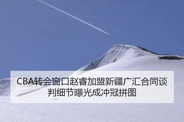 CBA转会窗口赵睿加盟新疆广汇合同谈判细节曝光成冲冠拼图